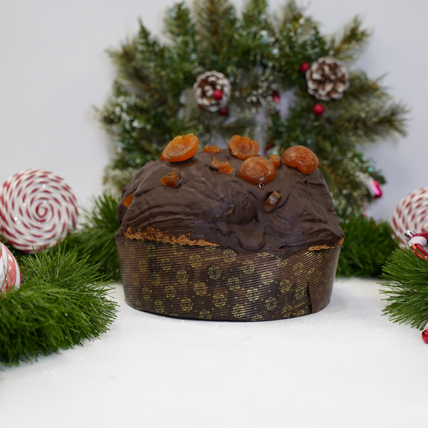 PANETTONE SACHER Edizione Limitata