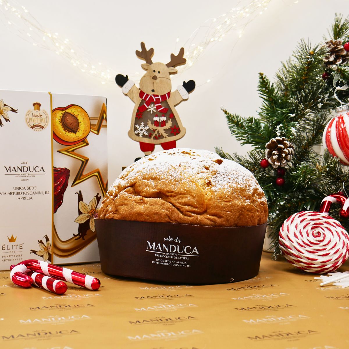 PANETTONE PANDORATO Solo da Manduca