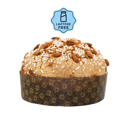 PANETTONE ALBICOCCA VESUVIANA senza lattosio
